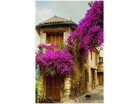 40X60CM STARE MIASTO PROWANSJI OBRAZ