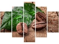 product-compare-58638889