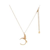 product-compare-61239482