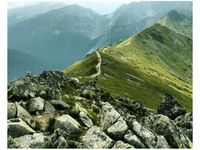 40X50CM GŁÓWNA GRAŃ TATR STOPAMI OBRAZ