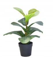 SZTUCZNA Roślina W DONICZCE REALISTYCZNA 35cm Fikus FIGOWIEC Piękny