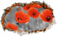 Naklejka efekt 3D czerwone maki duży wybór wzorów