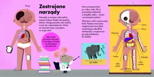 Jak to działa? Ciało na Arena.pl