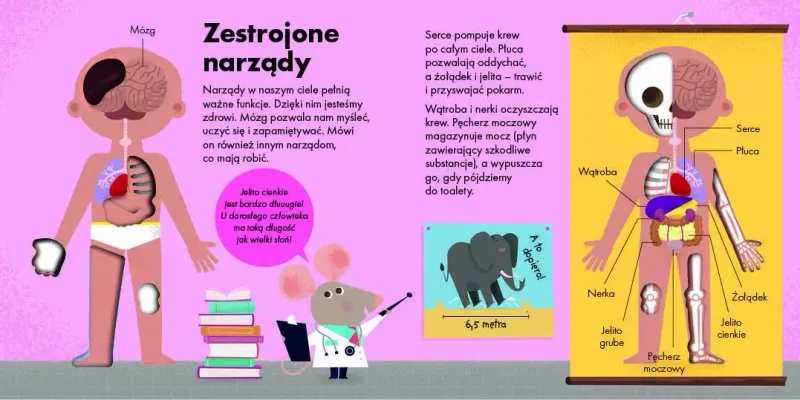 Jak to działa? Ciało zdjęcie 2