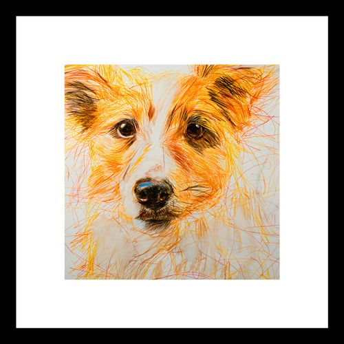 Plakat 20x20cm Uroczy Gość na Arena.pl