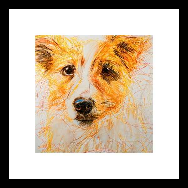 Plakat 20x20cm Uroczy Gość zdjęcie 3