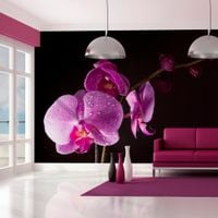 product-compare-63632855