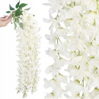 WISTERIA WISZĄCA GLICYNIA GĘSTA ZWIS PREMIUM XXL 5 pędów 85 cm