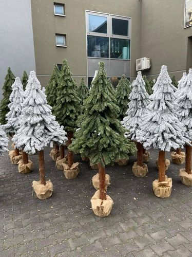 Choinka na pniu ze śniegiem - świerk górski ośnieżony Premium 156 cm na Arena.pl