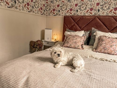 Nawilżacz powietrza MPM Haus&Luft HL-NE-01 na Arena.pl