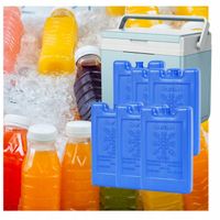 6X 500ml Wkłady chłodzące do lodówki turystycznej torby termicznej