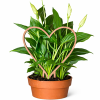 Podpora do roślin „Serce” – dekoracyjna kratka do doniczki