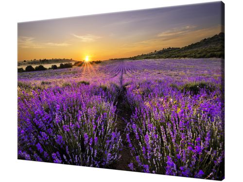 Obraz drukowany na płótnie canvas 120x80 + GRATIS na Arena.pl
