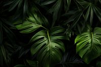 Plakat 91,5x61cm Zielony Szept