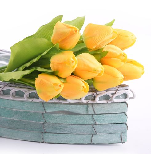 Tulipan 40cm żółty na Arena.pl