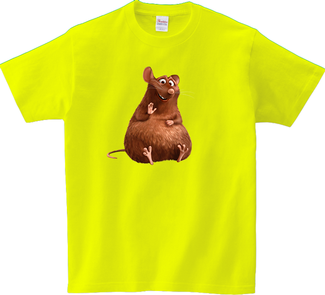 Koszulka T-shirt Ratatuj zdjęcie 1