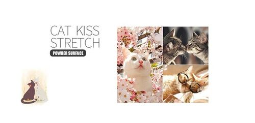 NUCELLE Kuferek perłowy kot na Arena.pl