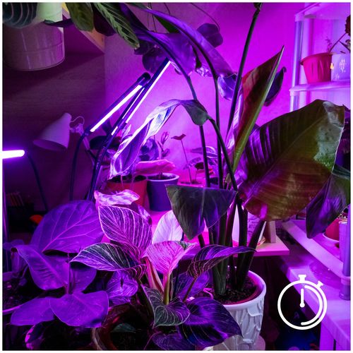 Lampa LED Do Wzrostu Uprawy Roślin na Klips POTRÓJNA TIMER + ZASILACZ na Arena.pl