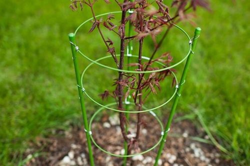 PODPORA PIERŚCIENIOWA DO ROŚLIN 45cm SZNUREK ZAPINKI DRUCIK ZESTAW na Arena.pl