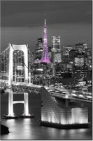 80CM 120 OBRAZ NOCNY WIDOK ŚCIENNY