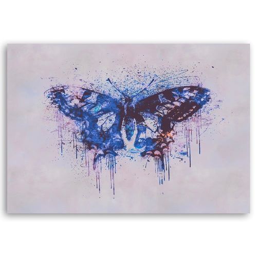 Deco Panel, Wielobarwny motyl 60x40 na Arena.pl