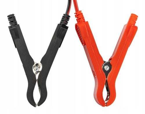 Prostownik AKUMULATOROWY Mikroprocesorowy Samochodowy 12V/24V 8A Ładowarka na Arena.pl