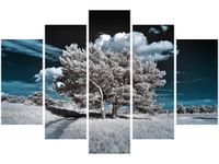 product-compare-58695070