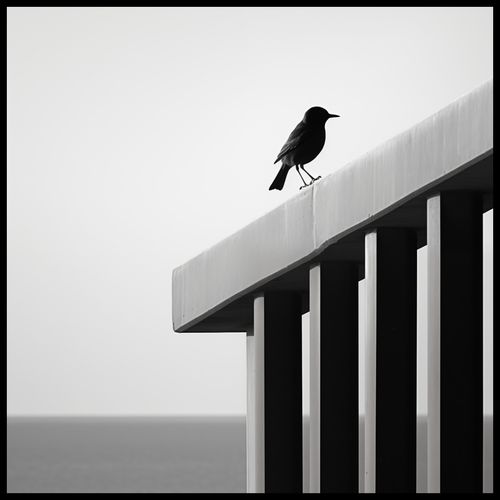 Plakat 70x70cm Samotna Odchłań na Arena.pl