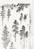 Plakat 59,4x84,1cm Pine Trees, Hokusai Japoński Vintage do Salonu