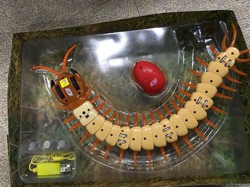 Wildroid Stonoga na Arena.pl