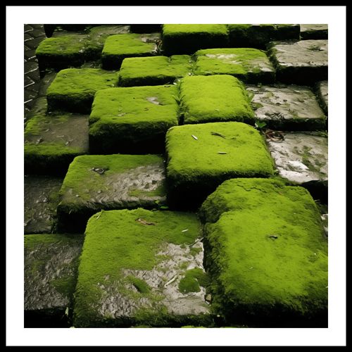 Plakat 50x50cm Zielona Mozaika na Arena.pl
