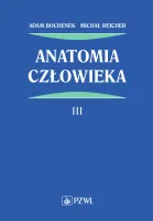 Anatomia człowieka. Tom 3