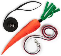 Lonża, Uwiąz i Marchewka Skippi - Akcesoria Treningowe dla Hobby Horse