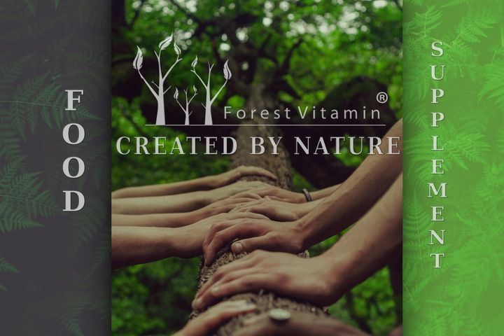 FOREST WITAMINA K2 MK-7 500mcg 100 tab NATURALNA zdjęcie 8