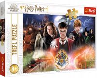 PUZZLE 300 TAJEMNICZY HARRY POTTER TREFL