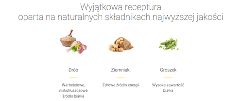 josera kitten grainfree 10kg na Arena.pl