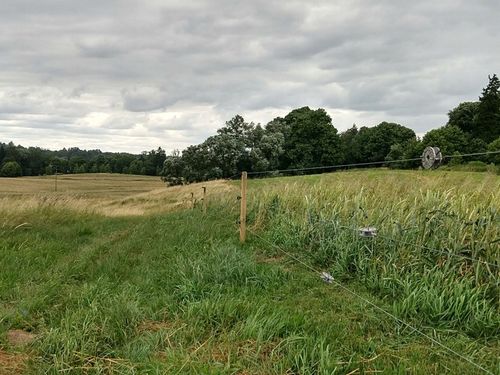 Izolatory do pastucha elektrycznego do drewna 100szt elektryzator drut na Arena.pl