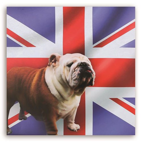 Deco Panel, Bulldog Union Jack 50x50 na Arena.pl