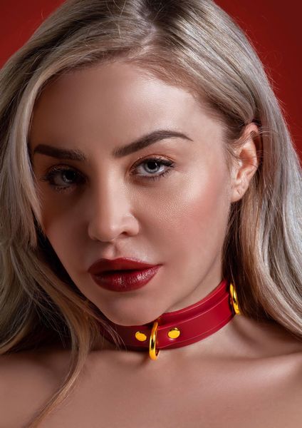 D-Ring Collar Deluxe zdjęcie 3