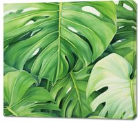 Obraz 100x90cm Tajemnice Liści