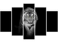 OBRAZ TIGER IN THE DARK