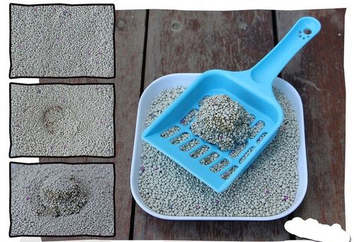 Żwirek dla kota betonitowy bentonitowy 25L kawowy o zapachu kawy na Arena.pl