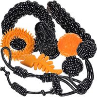 Zestaw Zabawek Dla Psa - 10 Szt. Purlov 24388