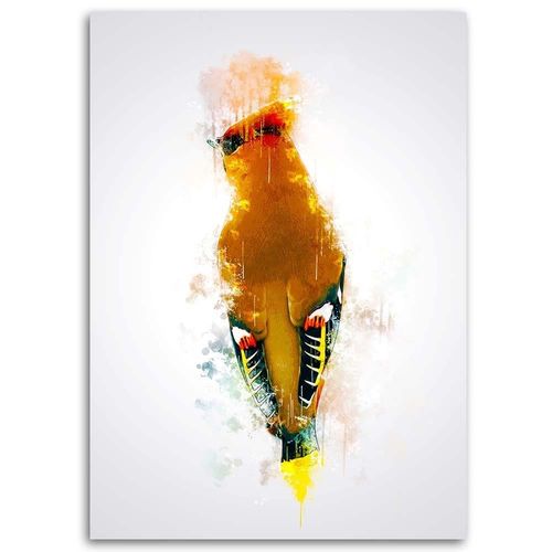 Obraz na płótnie – Canvas, Brązowy ptak 40x60 na Arena.pl