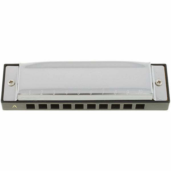 Harmonijka ustna A-Dur / A-Major Harley Benton Blues Harmonica Etui zdjęcie 4