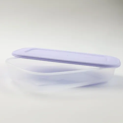 PLASTIKOWY POJEMNIK Z POKRYWKĄ DO PRZECHOWYWANIA ZAMRAŻANIA ŻYWNOŚCI 1,5L na Arena.pl