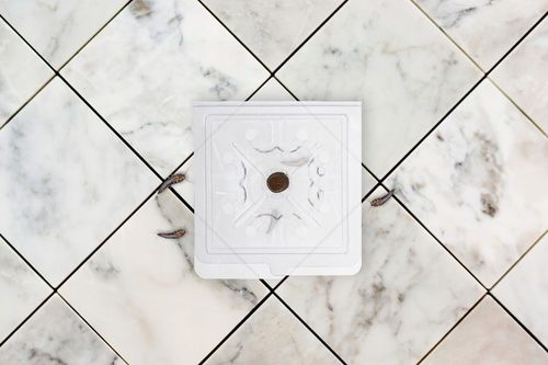 SKUTECZNA PUŁAPKA LEP NA RYBIKI CUKROWE SREBRZYKI SZUBAKI 10 SZTUK NO PEST na Arena.pl