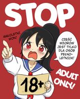 Dakimakura Fate DO WYBORU 90x45