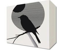 Obraz 20x20cm Kontrast Smukłości