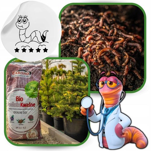 Torf Kwaśny Podłoże z EKO Nawozem BORÓWKA IGLAKI na Arena.pl